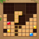 Wood Color Block Puzzle Game